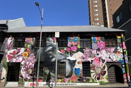 Colour and life run riot in Adam Levy’s reimagined ‘playground’