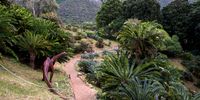 Don-Kirstenbosch 1