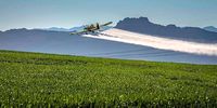 Several farm workers live in close proximity to crop fields sprayed from the air, potentially exposing them to toxic spray drift via contaminated air and water.
<br>(Photo: Professor Leslie London)