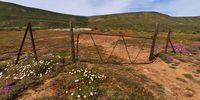 An icon of the Karoom – a rusty gate to nowhere. (Photo: Don Pinnock)