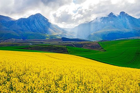 Bread & Wine: When the wheat stops paying (Part Four)