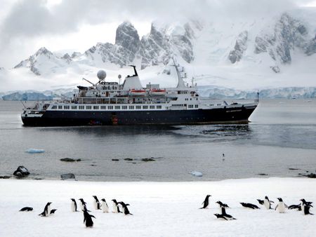Antarctica’s endangered emperor penguins under siege from thinning ice and cruise ships