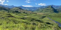 Lotheni, Drakensberg. Photographer: Mira Slavuckis</p>
<p>P4U_readersubmission_20250328
