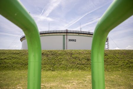  Green finance CEOs warn UK on labelling natural gas sustainable
