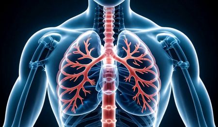 TB trends in SA show mixed picture of progress and persistent treatment barriers