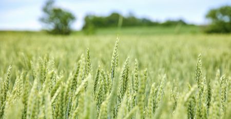 US urges countries to reach out if having issues with Russian food, fertiliser exports