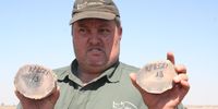 An employee at John Hume’s rhino ranch holds up two freshly removed rhino horns before they are moved to safe custody. (Photo: Tony Carnie)