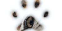 PhotoEssay-InPictures30