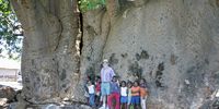 Prof Brian Bredenkamp and a group of youngsters are dwarfed by the massive Ga-Ratjeke baobab tree near Modjadjiskloof in Limpopo (Photo: Supplied)