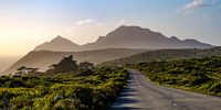 Early morning in Cape Point National Park, November 27th. Photographer: Martin Fennell, Noordhoek<br>