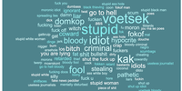 A word cloud of most frequently-used abusive terms targeted at van Wyk.
