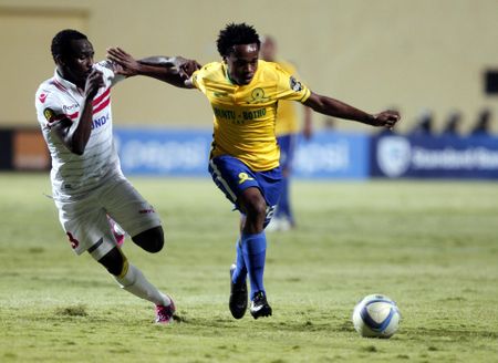 Brighton sign South Africa star Tau