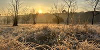 A Chilly Start? Photographer: Chris Dodd