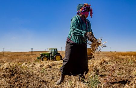 Farmworker transport: Nobody should go to work fearing for their life, industry stakeholders agree