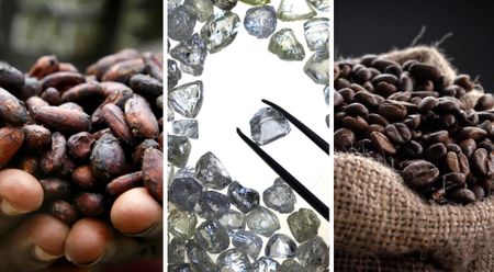 Loaded for Bear: Inflation spurs unexpected innovation in the lab