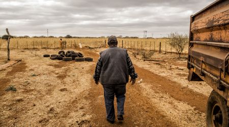 Land expropriation, the final push: Constitutional amendment drafting committee set up, Cabinet approves draft Expropriation Bill