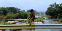 Morning meditation. Photographer: Dashen Naicker