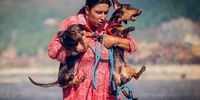 A woman saves animals during a forest fire in Alcabideche, Cascais, Portugfal, 21 July 2024. According to the National Emergency Authority and Civil Protection, 313 operational, 91 vehicles and nine airplane are fighting the forest fire that broke out in Alcabideche.  EPA-EFE/ANTONIO PEDRO SANTOS
