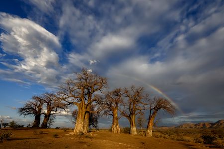 I have a picture for you! 26-01 November 2024