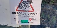 A warning sign found along western leopard toad migration routes, cautioning drivers to slow down and beware of the endangered toads along the road. This sign was in Kommetjie, Cape Town. (Photo: Supplied)