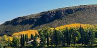 Autumn Karoo. Photographer: Johanna Heetman