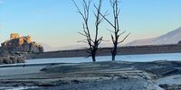 2 lone trees standing in a receding dam in the Southern Cederberg. Photographer: Richard Lord</p>
<p>P4U_readersubmission_20250314