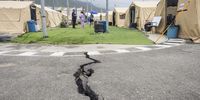 Field hospitals treat people and pets as recovery continues after Venezuela earthquakes