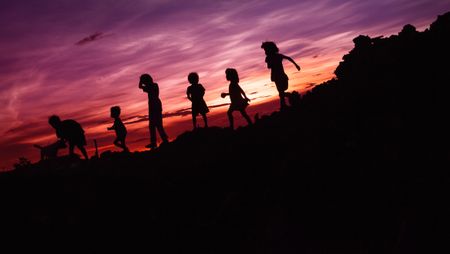 Parliament: Childhood survivors of violence likely to earn less as adults