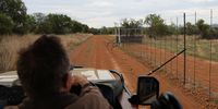 Rudolf Pretorius drive along a farm fence in the southern Waterberg , dropping fences will  allow elephants to roam between farrms creating a safe haven for wildlife. (Photo: Felix Dlangamandla)