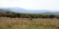 The green hills of Marakele National Park looming north in the distance. (Photo: Felix Dlangamandla)