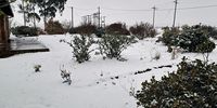Snow in Memel. 21 September 2024.<br>(Photo: SEVERE WEATHER AND INFORMATION CENTRE SA)