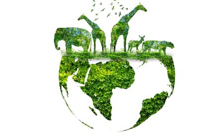 South Africa’s new environmental policy – a positive shift or a licence to kill?