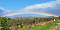 Rainbow over Villiersdorp. Photographer: Craig Beer