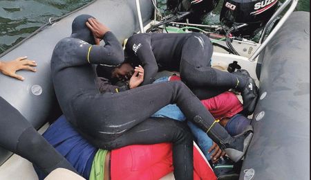 Let abalone go extinct – this might be the radical solution South Africa needs, new report suggests