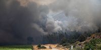 The Kluitjieskraal wildfire moves down the mountainside and reaches a patch of alien vegetation on Slanghoek Road, threatening nearby vineyards on 28 January, 2023. (Photo: Victoria O'Regan)