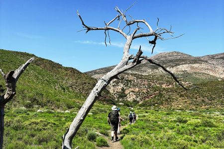 Walking the Leopard Trail — Four days of fynbos, fatigue and fierce resilience