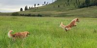There be mice. Photographer: Chris Albertyn</p>
<p>P4U_readersubmission_20250307