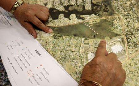 Is an access road through a township more important than the western leopard toad?