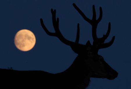 Buck moon rises over Richmond Park and more from around the world