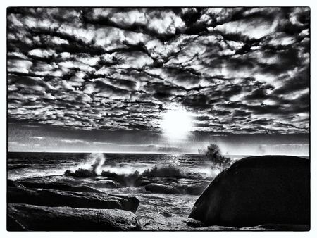 The memory of elemental things