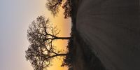 Manyeleti early morning. Image: Ernest Archer