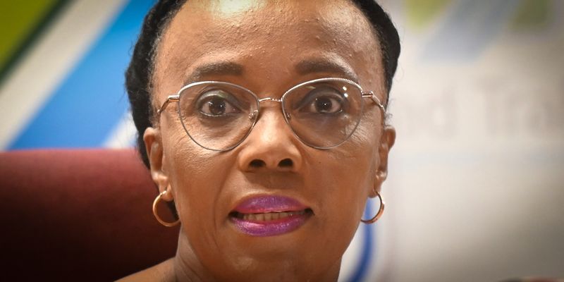 Transport minister robbed, along with her VIP protection unit