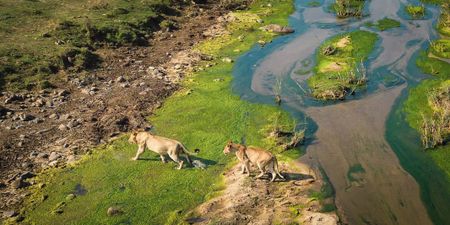 New push for coal mine on Kruger National Park boundary raises alarm
