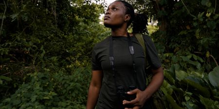 How a coincidental wildlife conservationist is working to save rare chimps and monkeys in Nigeria