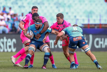 EPCR bosses happy with South Africa’s contribution to European rugby despite declining results