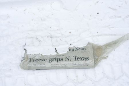 Our World in pictures: Week 7 of 2021