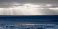 Morning beams. Photographer: Faith Rubin