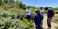 Green Point Park doesn’t specifically say don’t pick the plants, only the flowers. (Photo: Bianca Coleman)