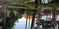Sunrise in Keurboom Park on 2 March. Photographer: Jenni Bessesen<br>