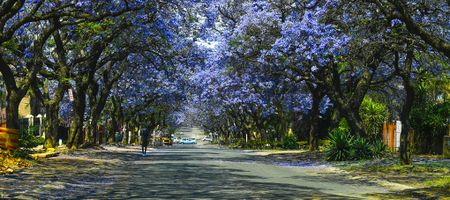 Up in the world: Five South African destinations - including Pretoria -  make global most-loved list